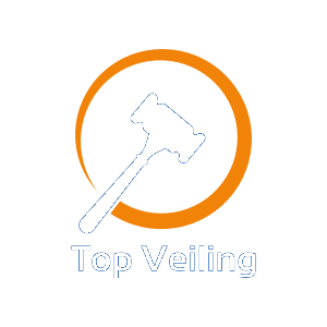 Topveiling BV